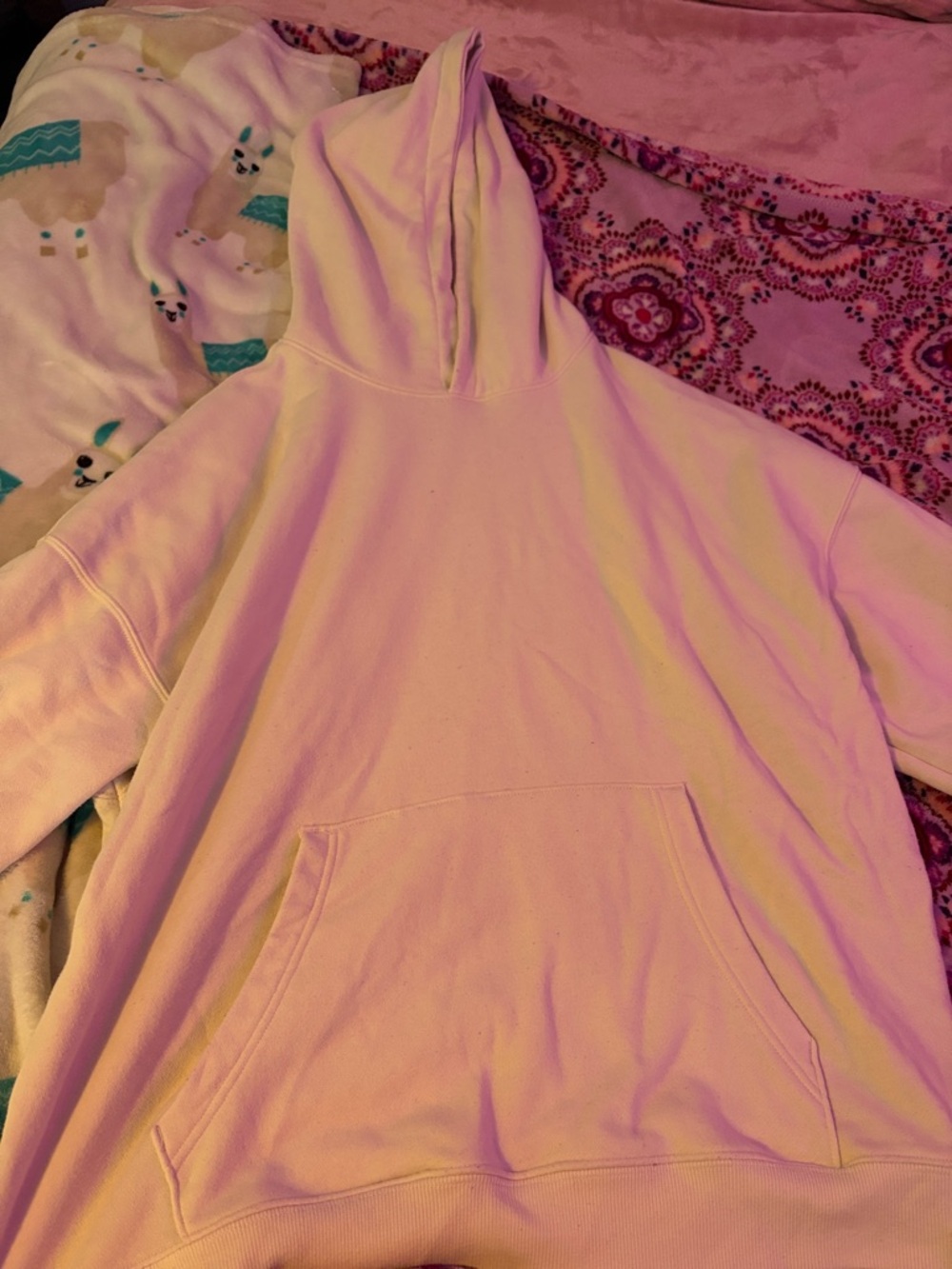 No Boundaries Oversized Hoodie in Light Cream with Pink Hue